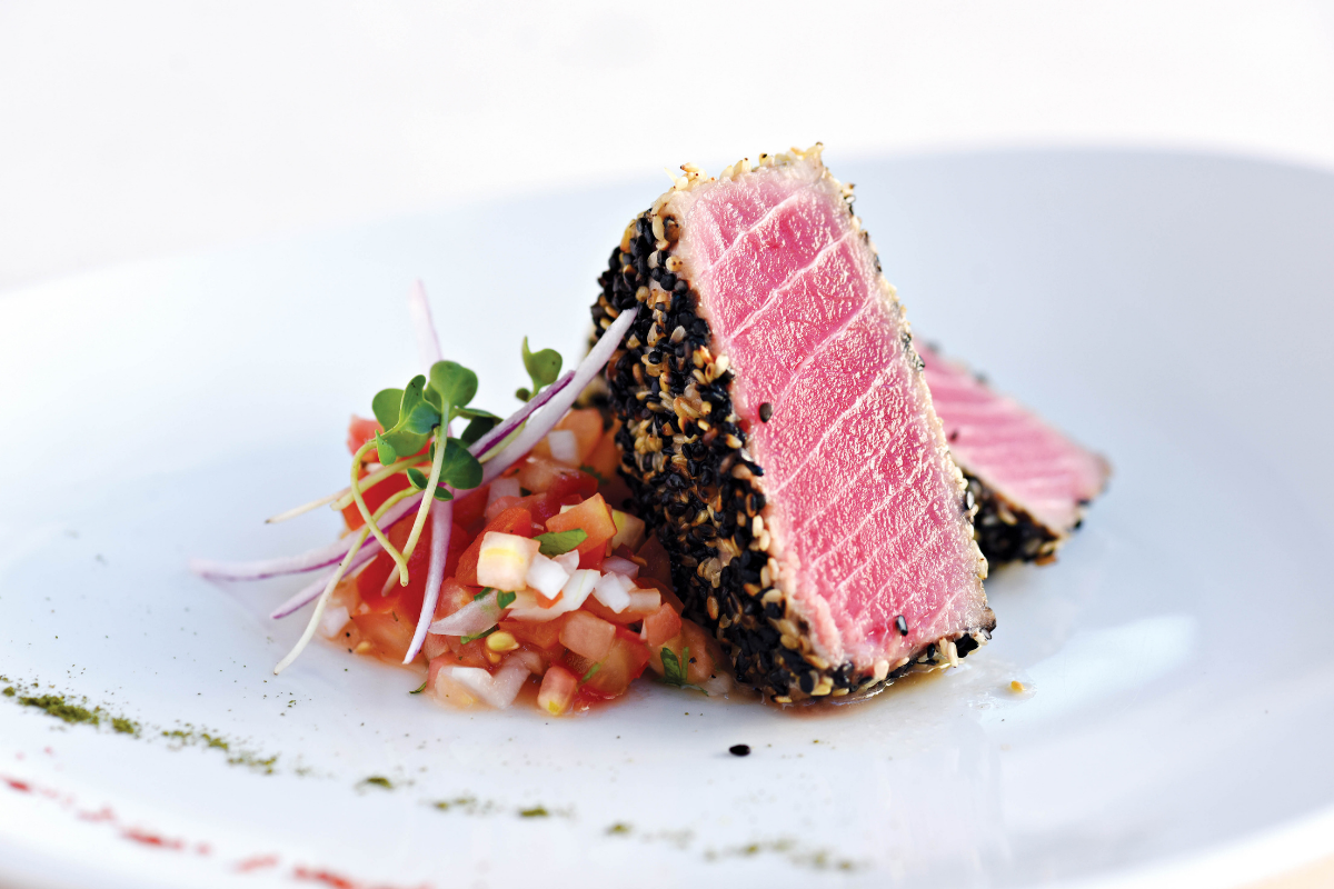 C.A.R.I.B.E. Family Experience at Royalton Splash Punta Cana - All Inclusive Resort & Casino