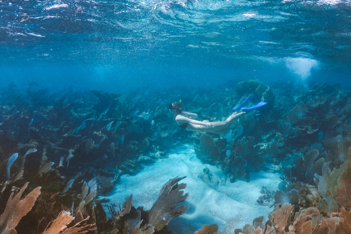 C.A.R.I.B.E. Family Experience at Royalton Splash Punta Cana - All Inclusive Resort & Casino