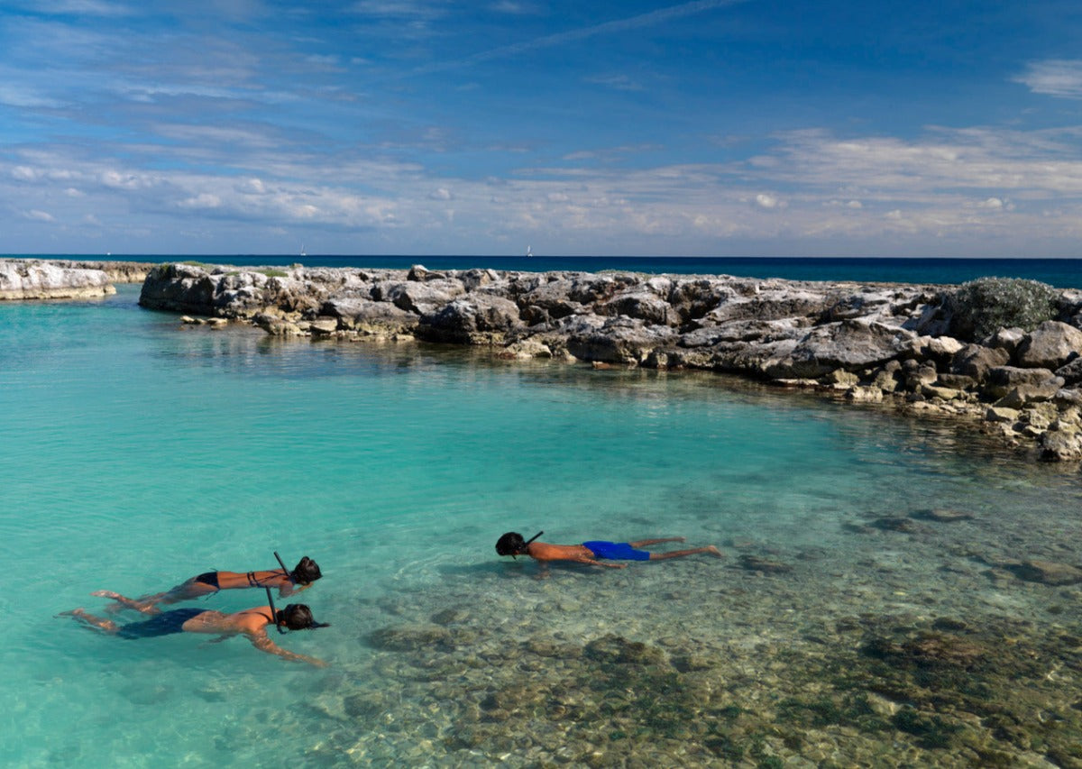 Hard Rock Hotel Riviera Maya - Todo Incluido